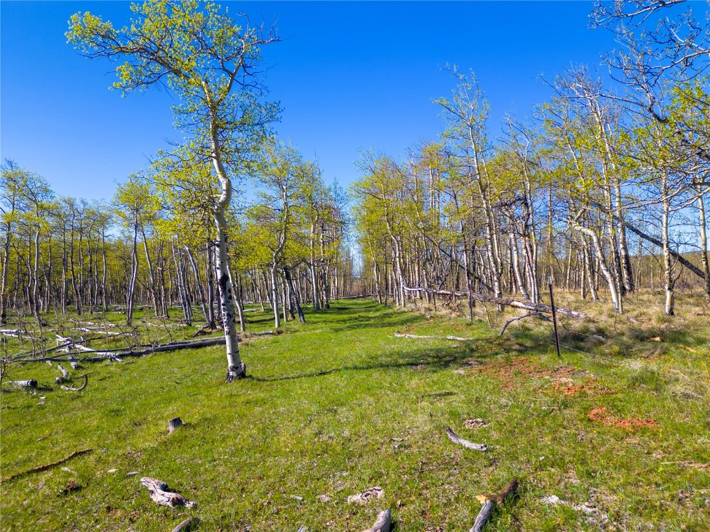25335 Us Hwy 285 Property Photo 10