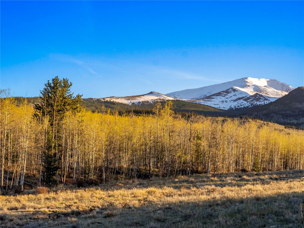 25335 Us Hwy 285 Property Photo 11