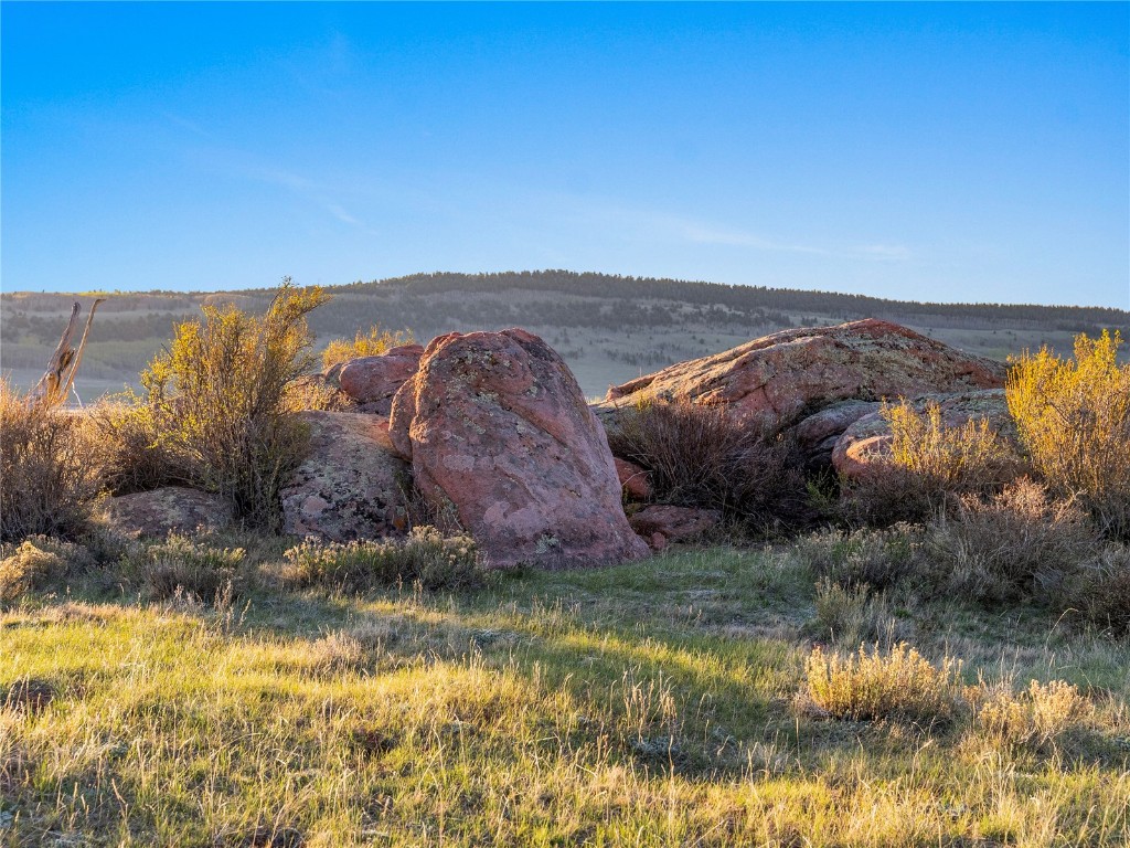 25335 Us Hwy 285 Property Photo 13