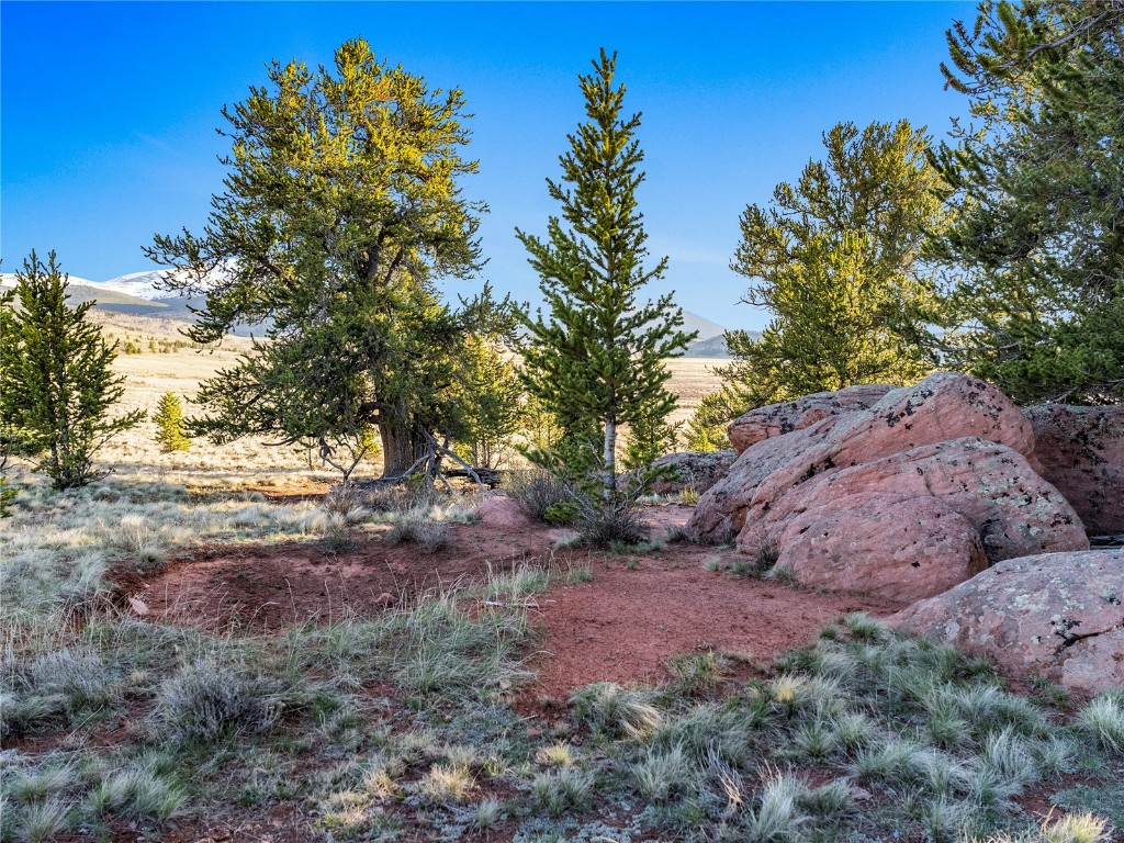 25335 Us Hwy 285 Property Photo 15