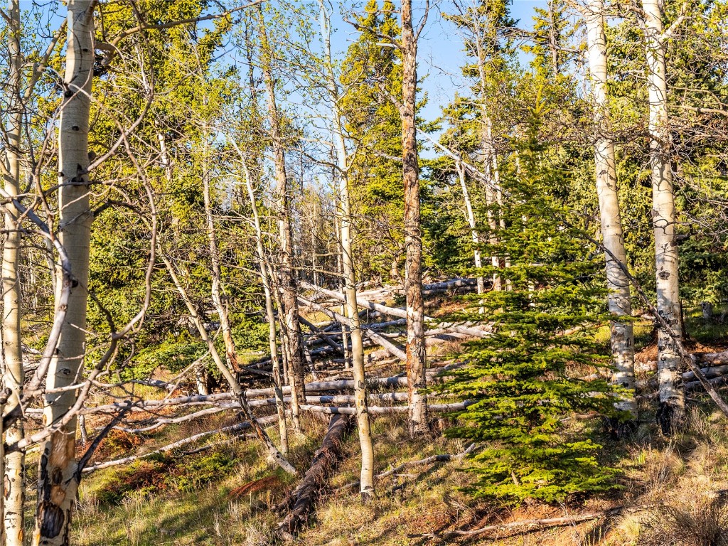 25335 Us Hwy 285 Property Photo 17