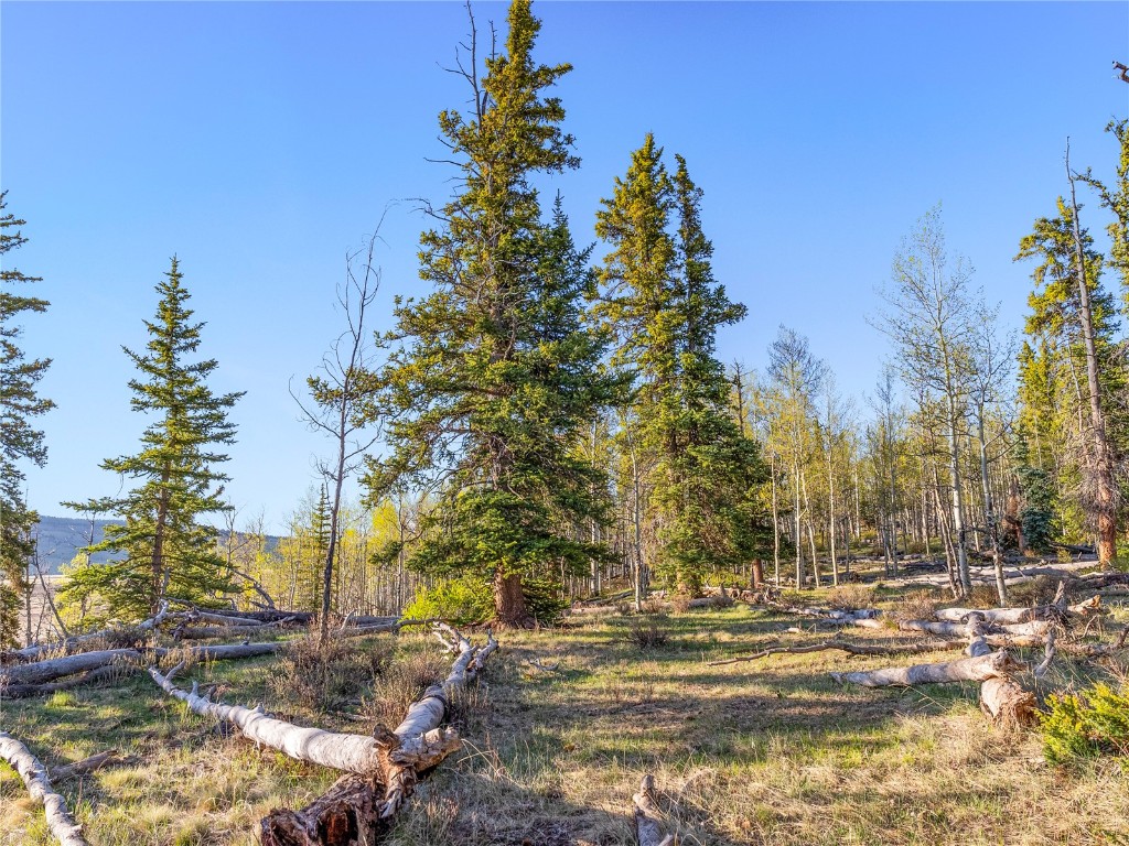 25335 Us Hwy 285 Property Photo 18