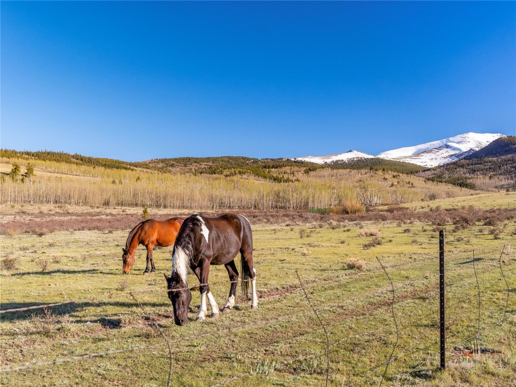 25335 Us Hwy 285 Property Photo 19