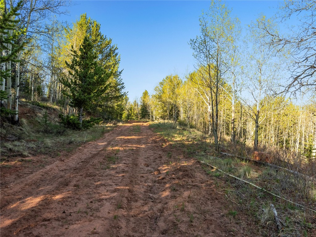 25335 Us Hwy 285 Property Photo 23