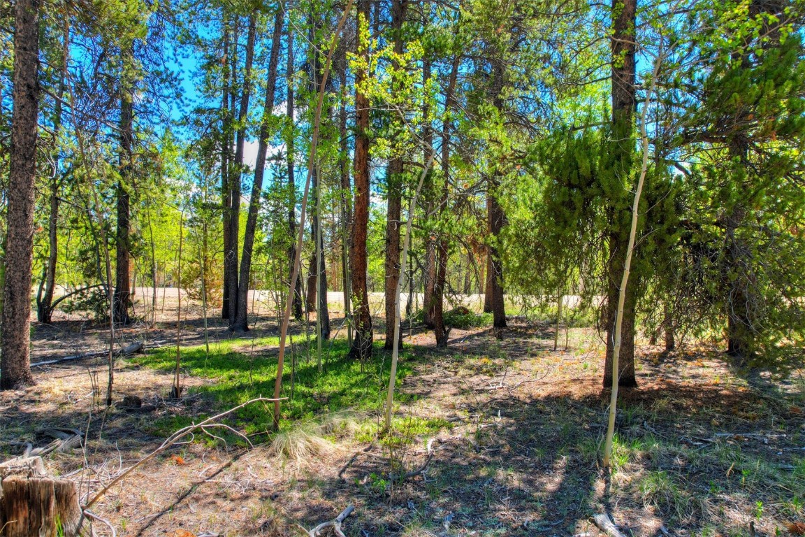 337 Busch Run Property Photo 8