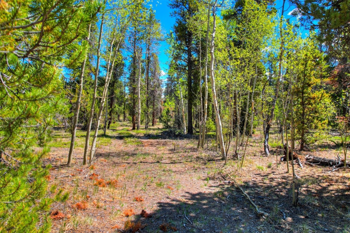 337 Busch Run Property Photo 10