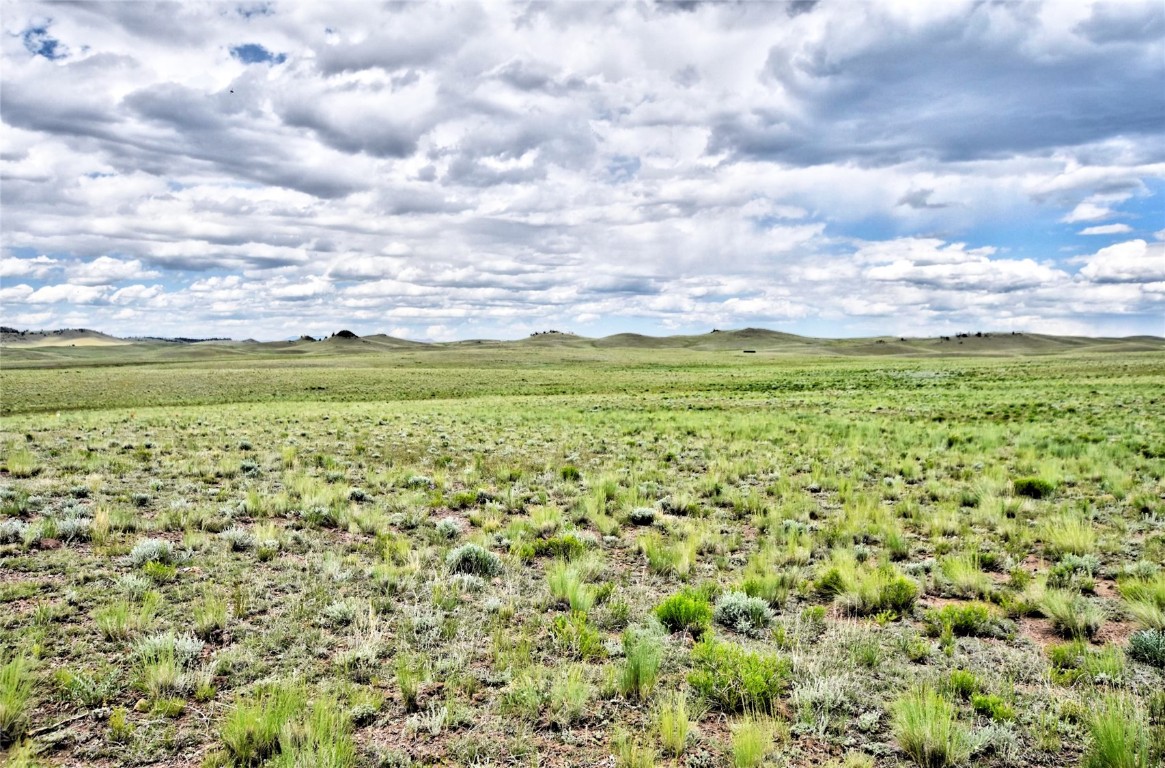 1238 Chicha Road Property Photo