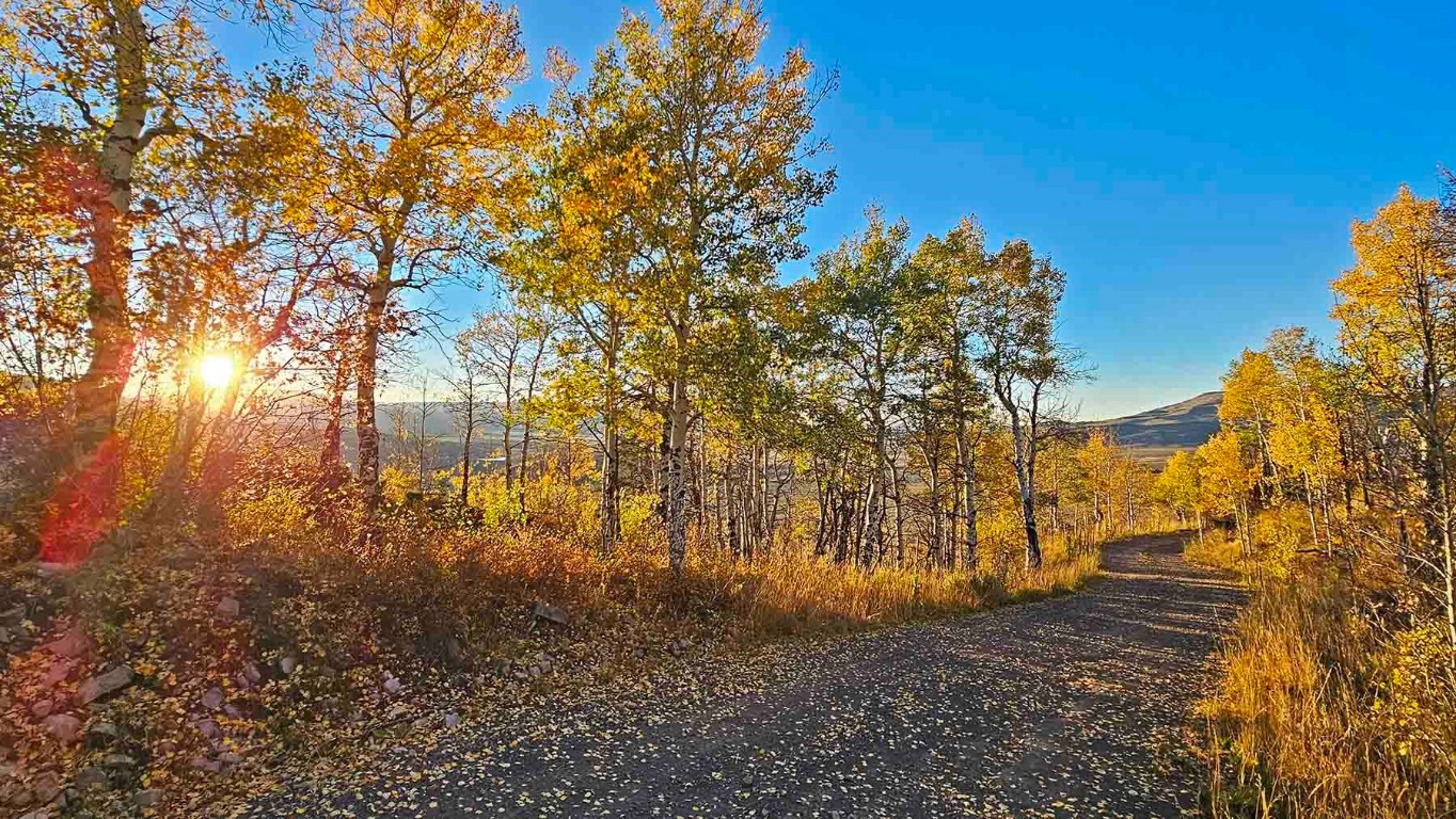 6495 Long Ridge Court Property Photo 6