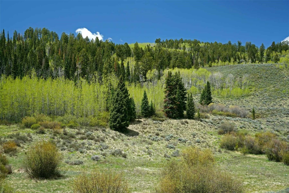 6495 Long Ridge Court Property Photo 41