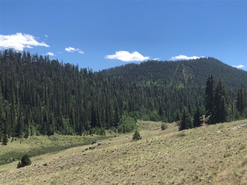 1135 & 1199 Swiggler Road Property Photo 2