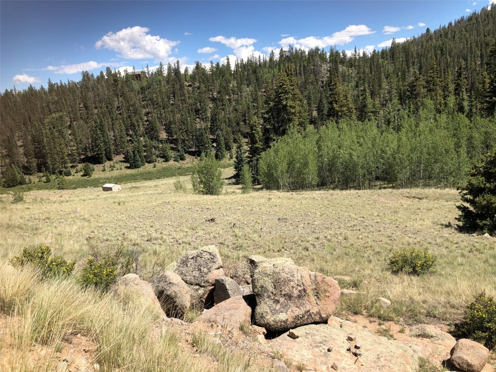 1135 & 1199 Swiggler Road Property Photo 4
