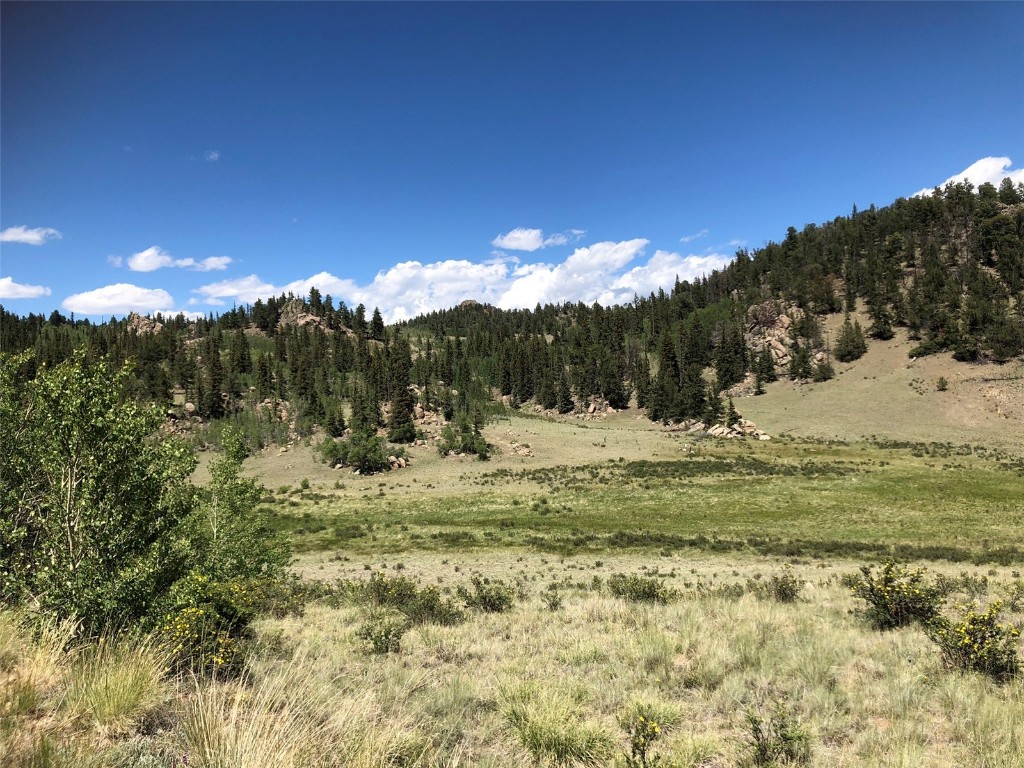 1135 & 1199 Swiggler Road Property Photo 6
