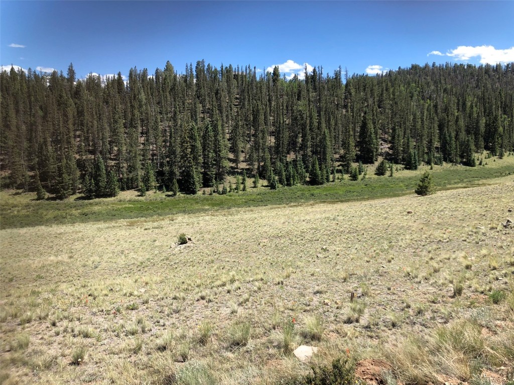 1135 & 1199 Swiggler Road Property Photo 10