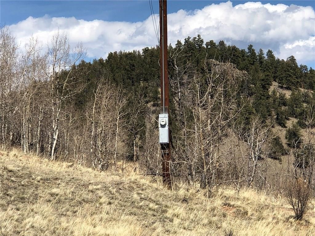 1135 & 1199 Swiggler Road Property Photo 11