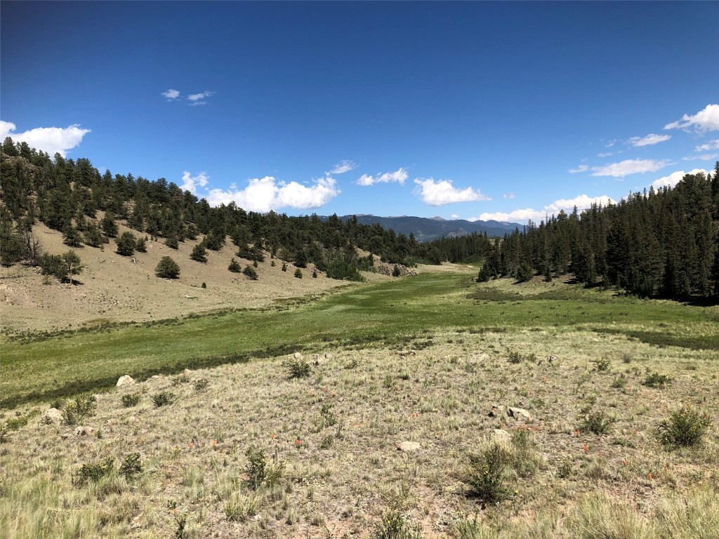 1135 & 1199 Swiggler Road Property Photo 13