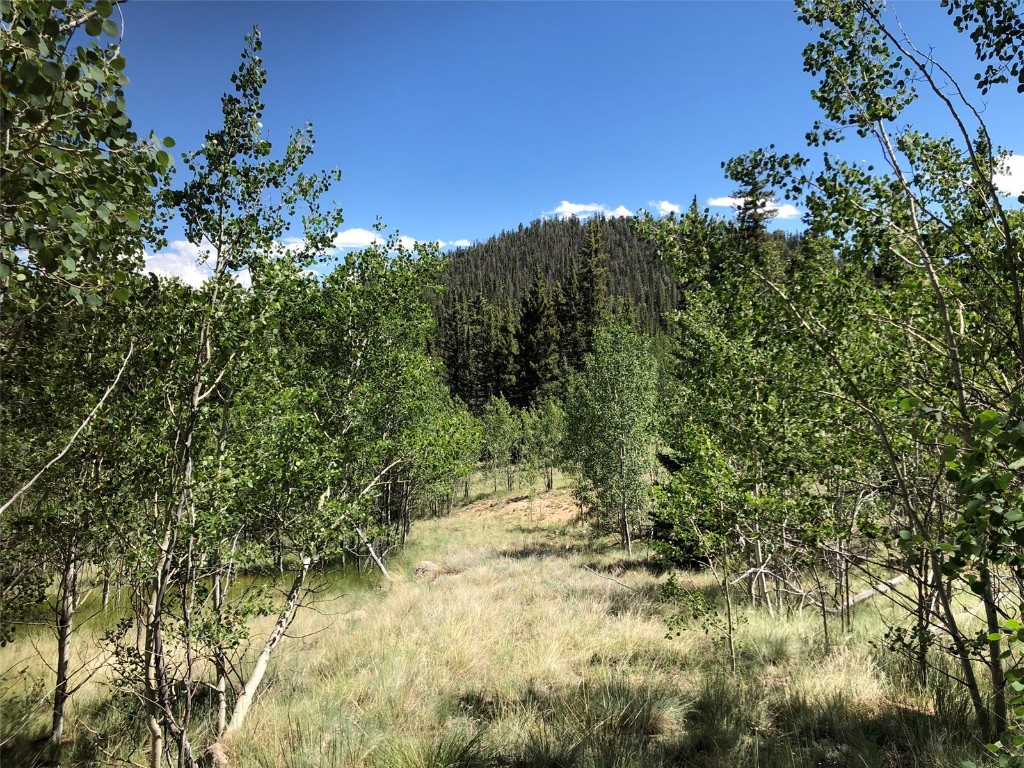 1135 & 1199 Swiggler Road Property Photo 15
