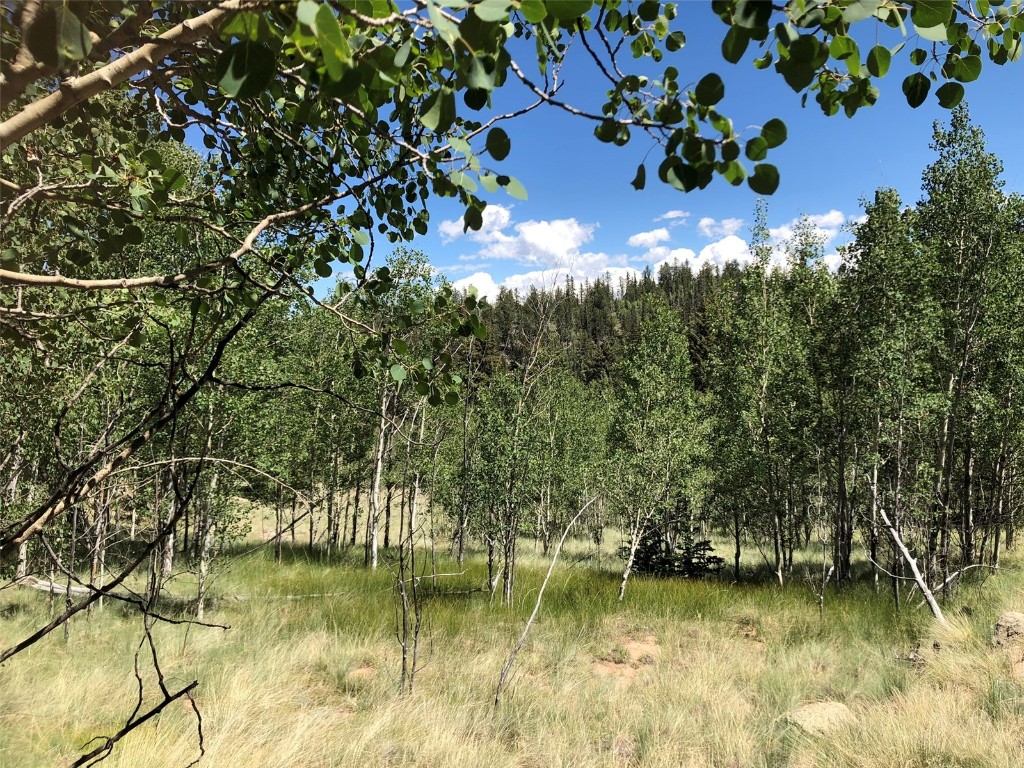 1135 & 1199 Swiggler Road Property Photo 16
