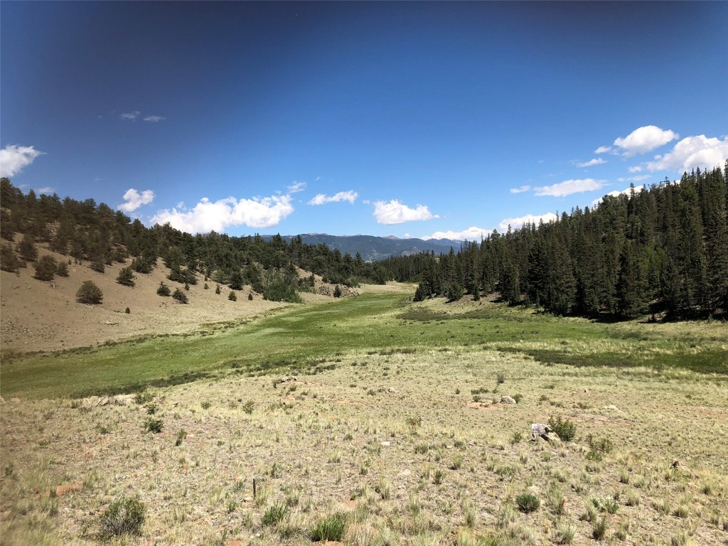 1135 & 1199 Swiggler Road Property Photo 17
