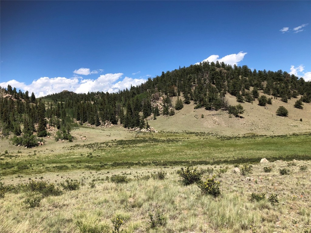1135 & 1199 Swiggler Road Property Photo 18