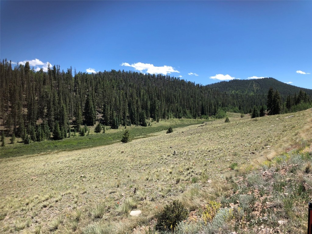 1135 & 1199 Swiggler Road Property Photo 19