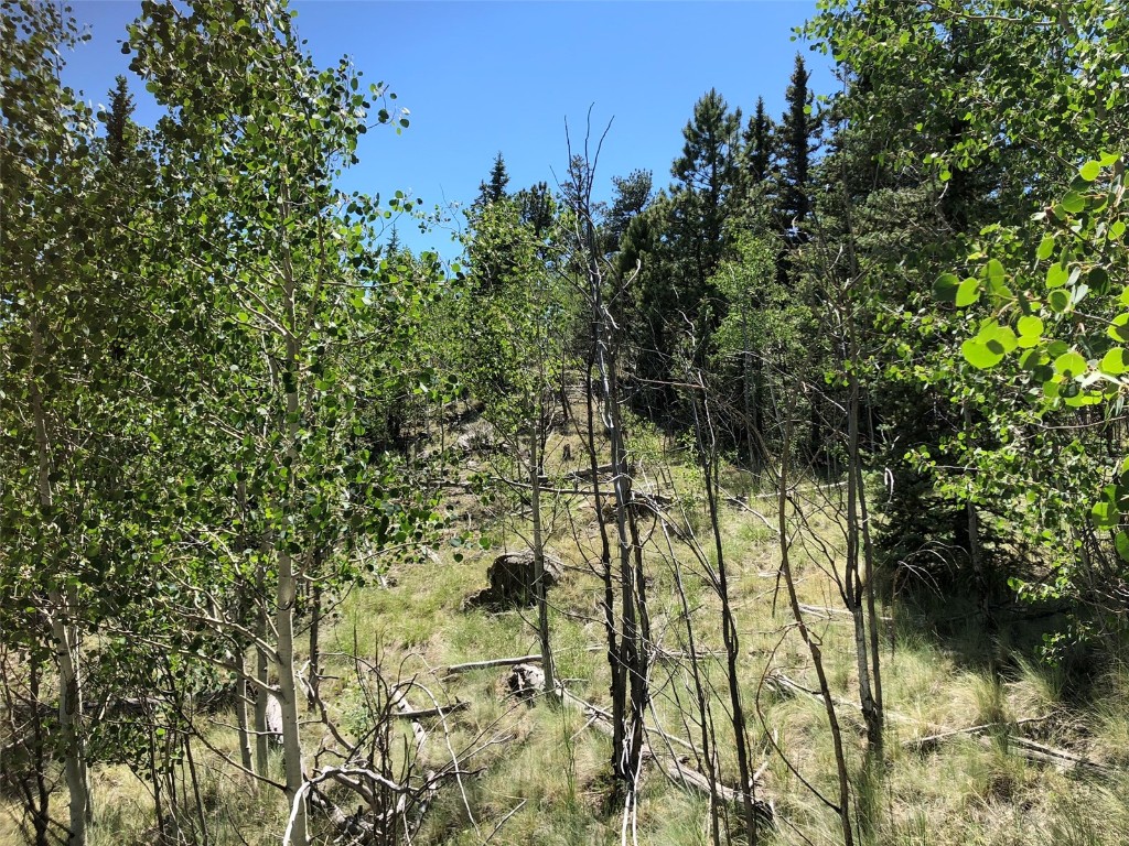1135 & 1199 Swiggler Road Property Photo 20