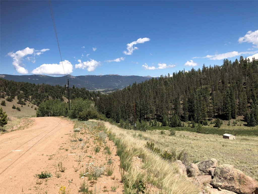 1135 & 1199 Swiggler Road Property Photo 21