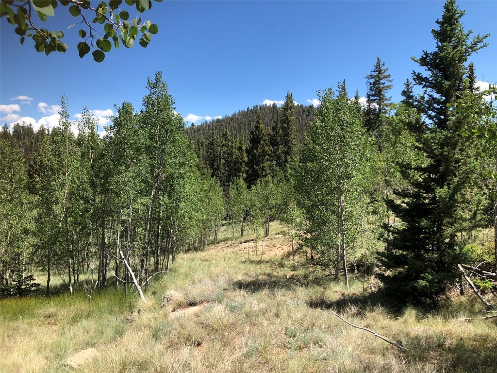 1135 & 1199 Swiggler Road Property Photo 22