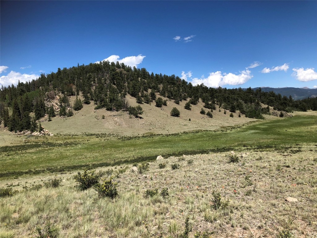 1135 & 1199 Swiggler Road Property Photo 23