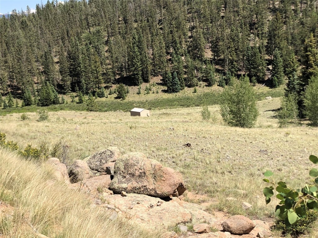 1135 & 1199 Swiggler Road Property Photo 24