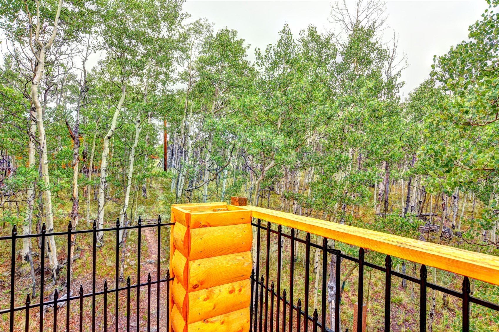 567 Haida Road Property Photo 20