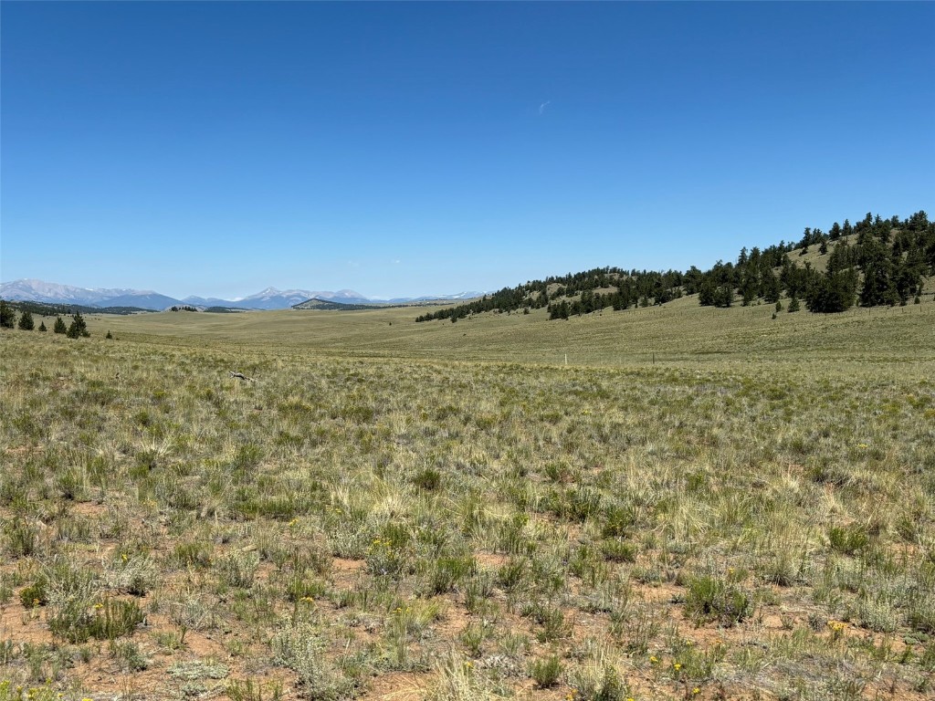 3454 Fitzsimmons Road Property Photo 15
