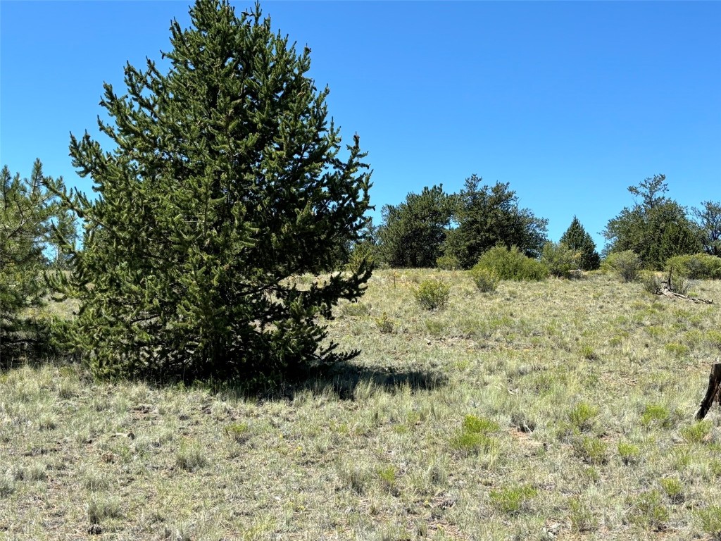 3454 Fitzsimmons Road Property Photo 17