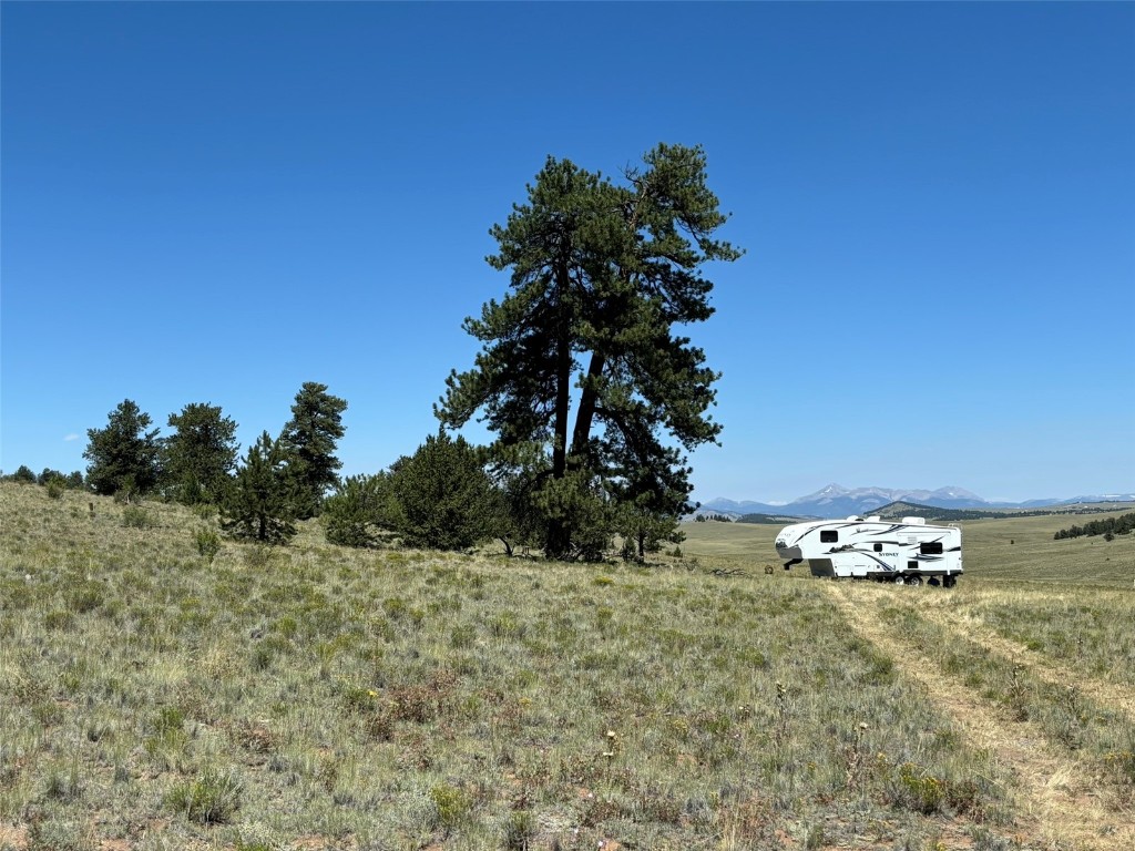 3454 Fitzsimmons Road Property Photo 20