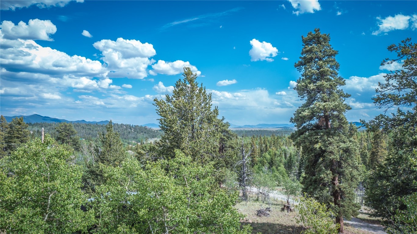 1140 Ute Trail Property Photo 13