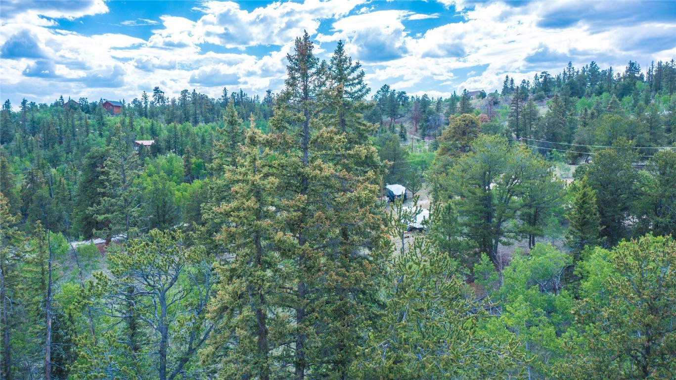 1140 Ute Trail Property Photo 14