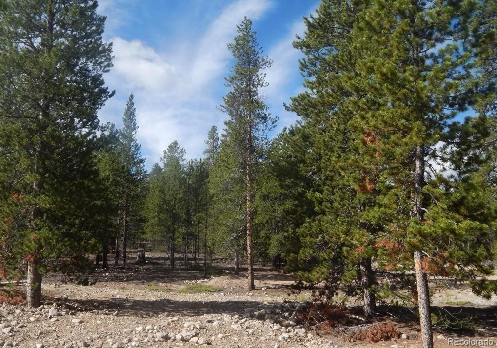 480 Ridge Road Property Photo