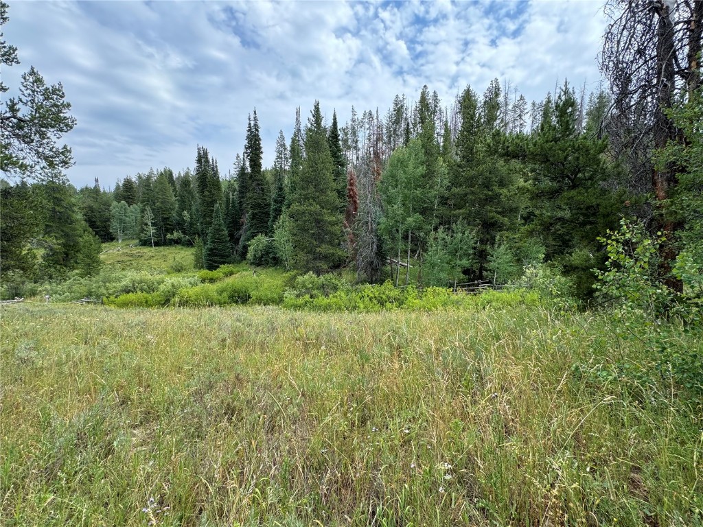 South Routt Real Estate Listings Main Image