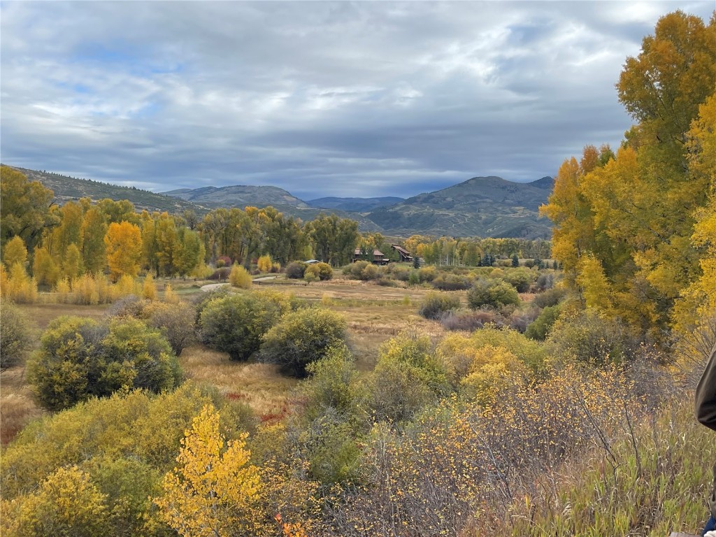 27095 Fire Song Road Property Photo 33