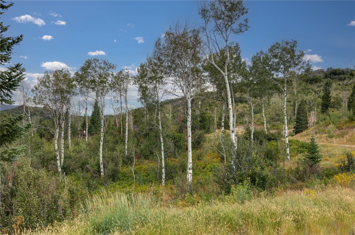 34905 Rockledge Road Property Photo 10