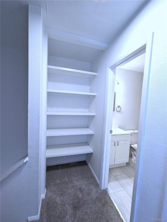 921 Mount Massive 26 Property Photo 10