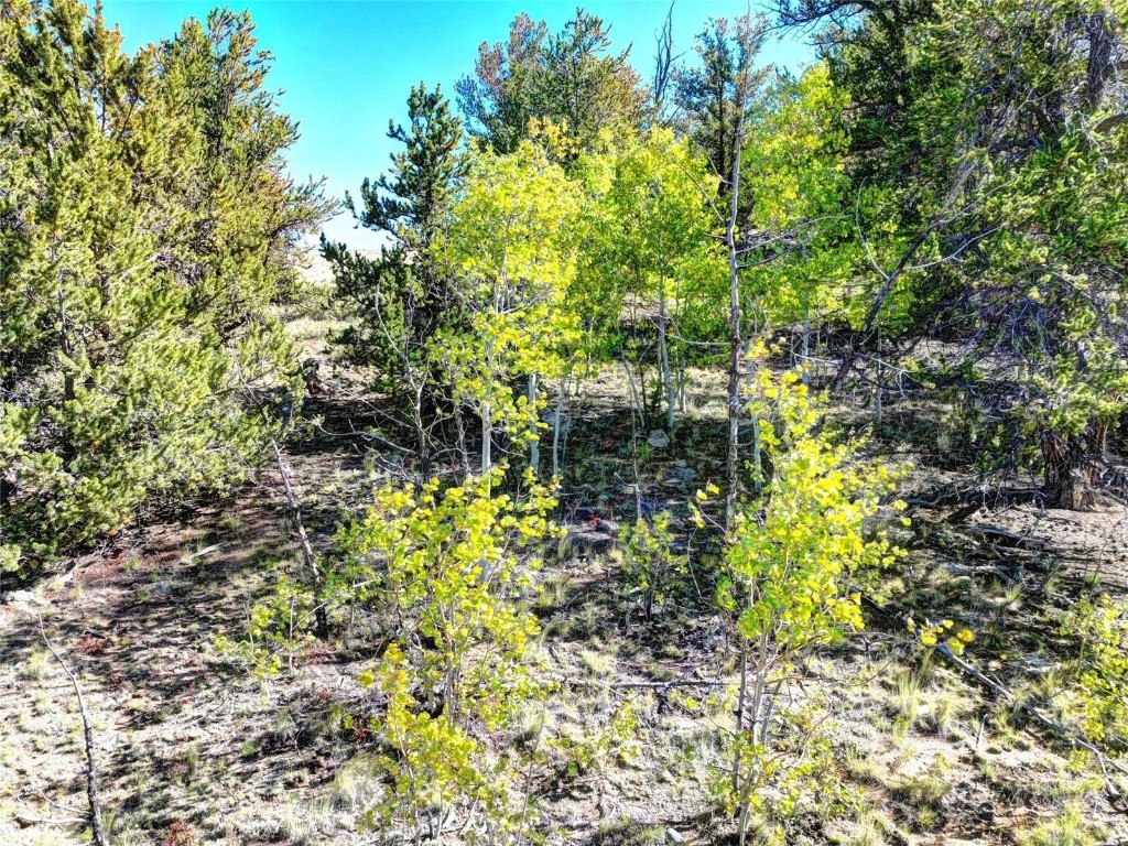 900 Remington Road Property Photo 21