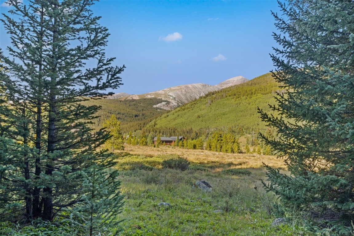 102 Silverheels Road Property Photo 2