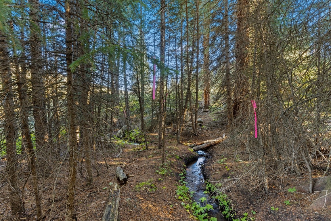 102 Silverheels Road Property Photo 4