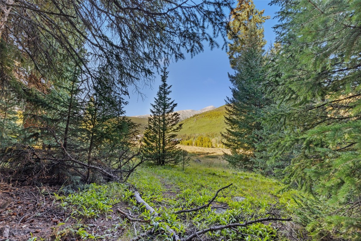 102 Silverheels Road Property Photo 6