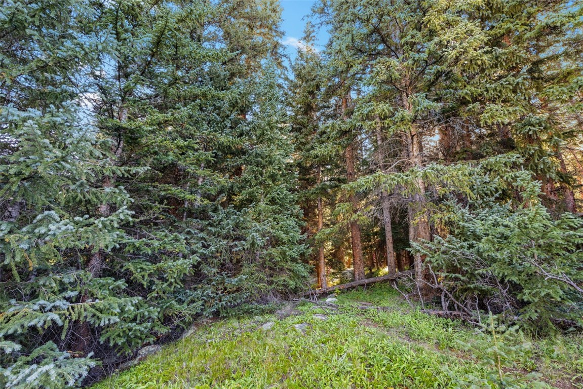 102 Silverheels Road Property Photo 7
