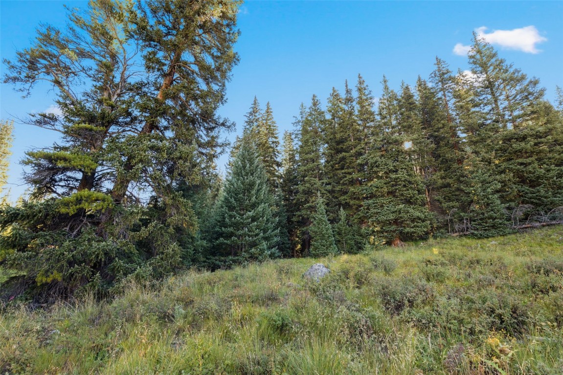 102 Silverheels Road Property Photo 8