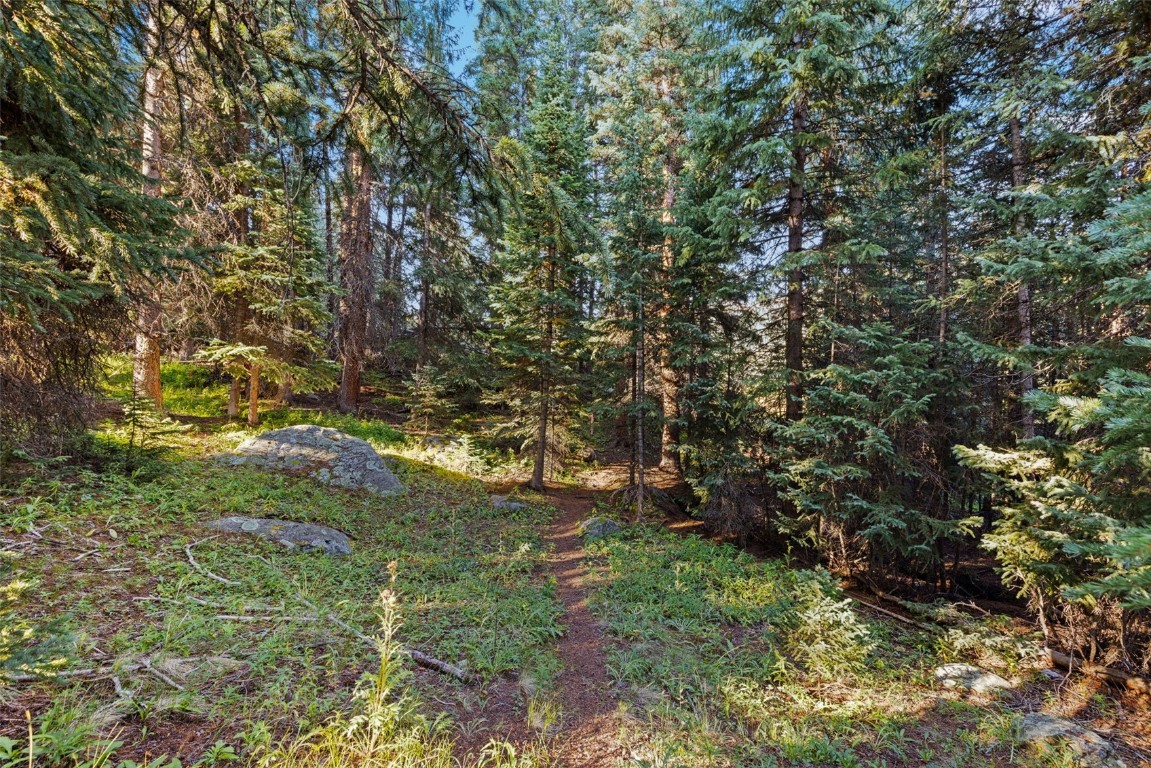 102 Silverheels Road Property Photo 11