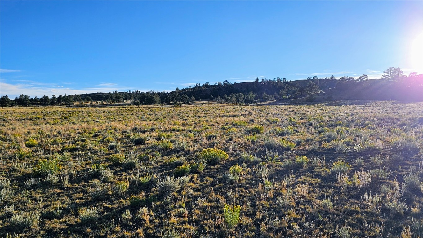 Tbd Subdivision 3 Lot 81 Property Photo 14
