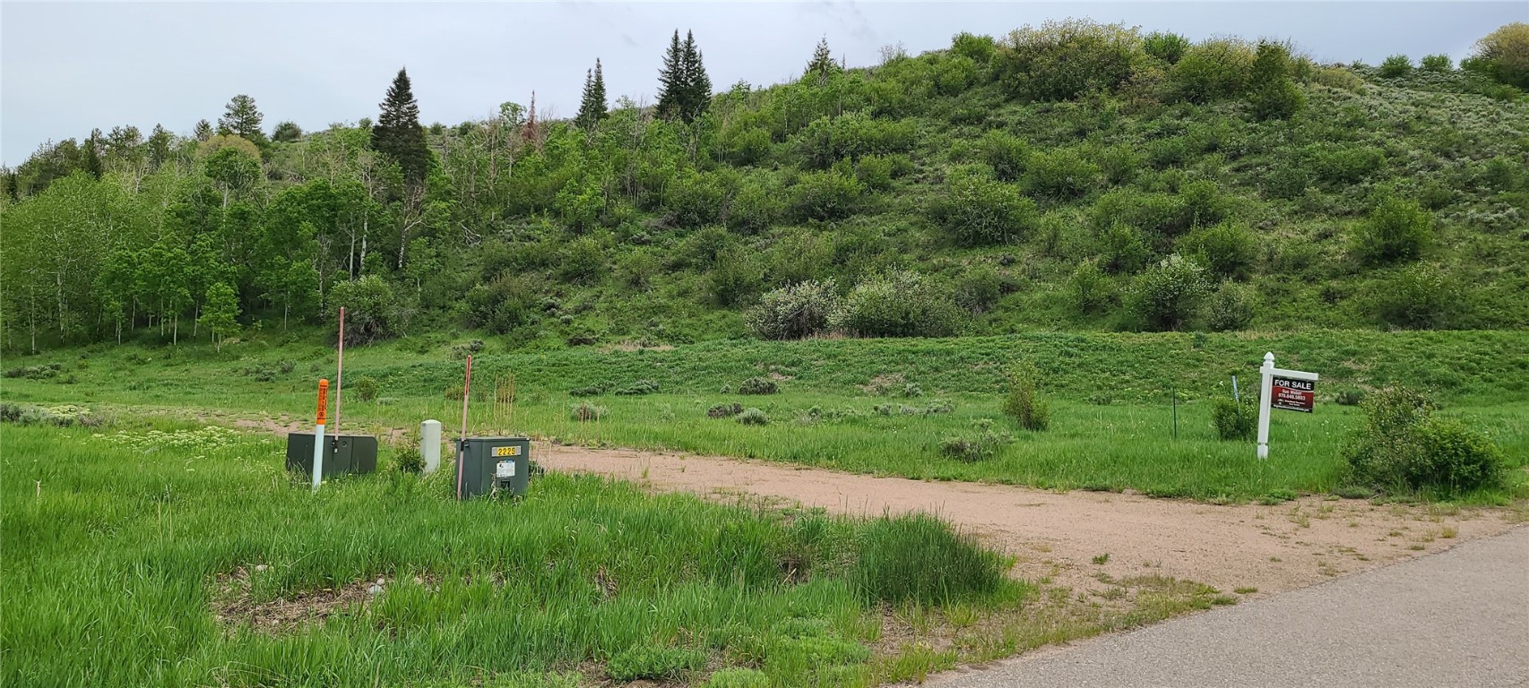 23525 Stagehorn Trail Property Photo 1