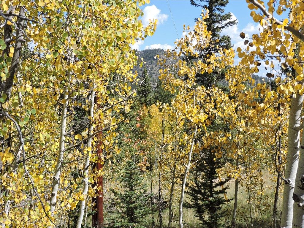 16 Buckshot Trail Property Photo 7